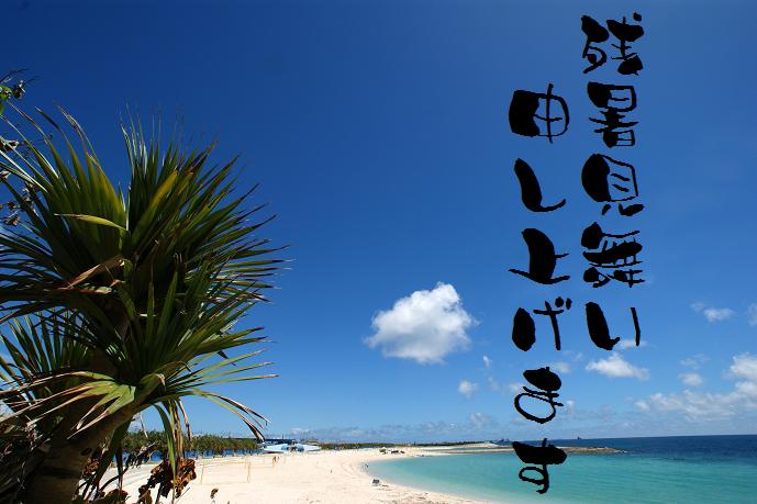 こういう海岸を見るとついこの歌を思い出しますねー。沖縄だから、当然南沙織バージョンですね。